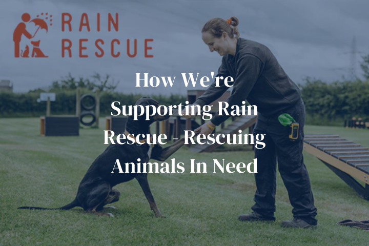 How We're Supporting Rain Rescue - Rescuing Animals In Need