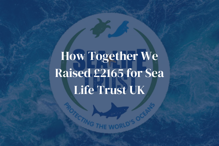 How Together We Raised £2165 for Sea Life Trust UK