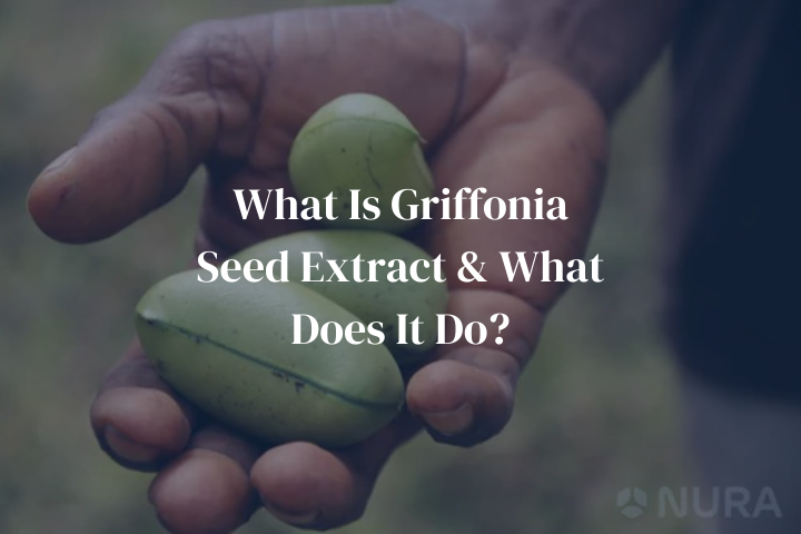 What Is Griffonia Seed Extract & What Does It Do?
