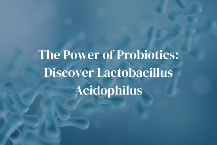 The Power of Probiotics: Discover Lactobacillus Acidophilus