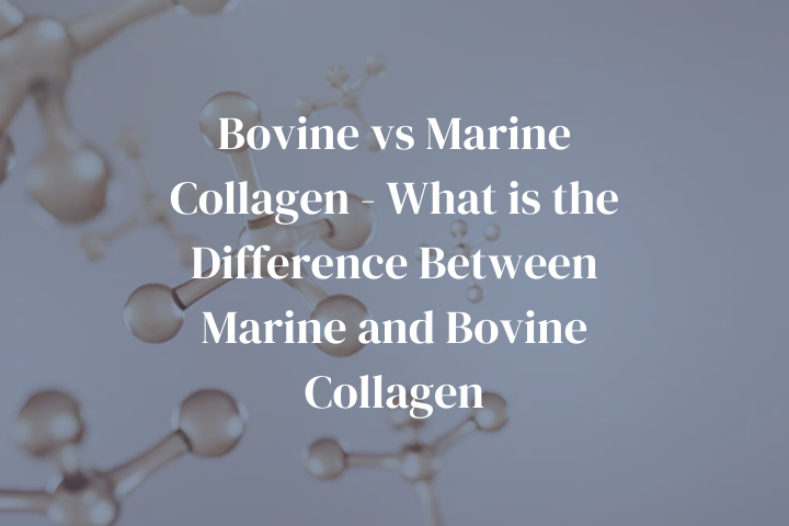 Bovine  vs Marine Collagen - What is the Difference Between Marine and Bovine Collagen