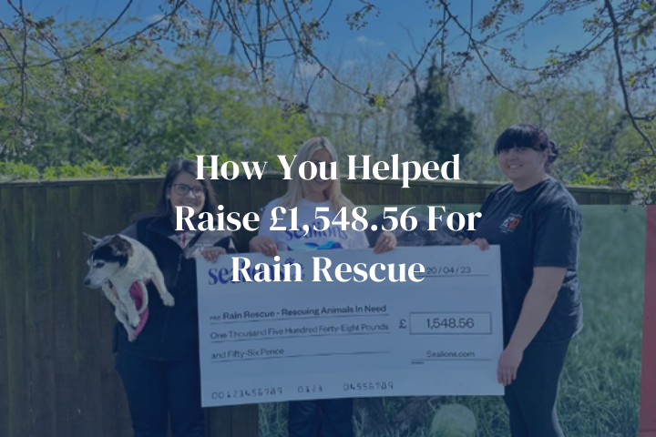 How You Helped Raise £1,548.56 For Rain Rescue