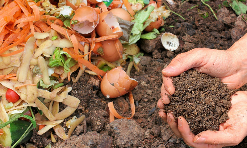 Most Households Don’t Compost: Here’s How You Can Start at Home