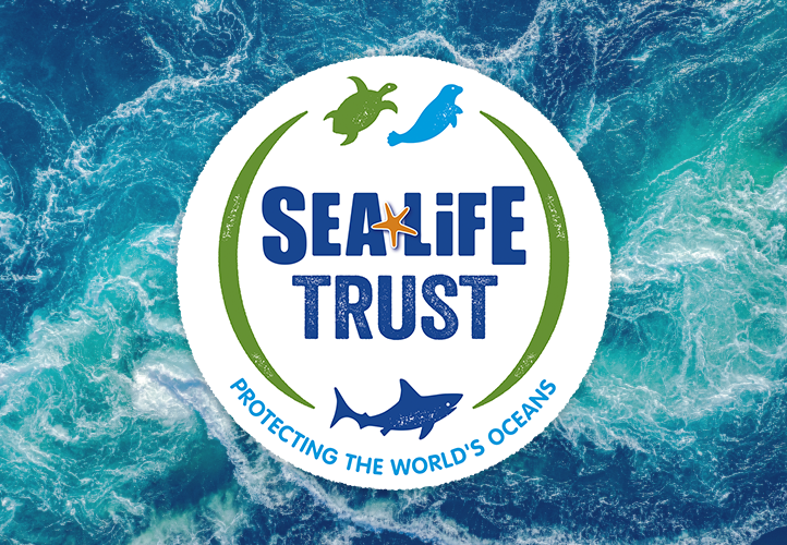 How Together We Raised £2165 for Sea Life Trust UK