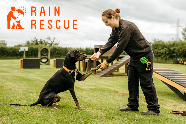 How We're Supporting Rain Rescue - Rescuing Animals In Need