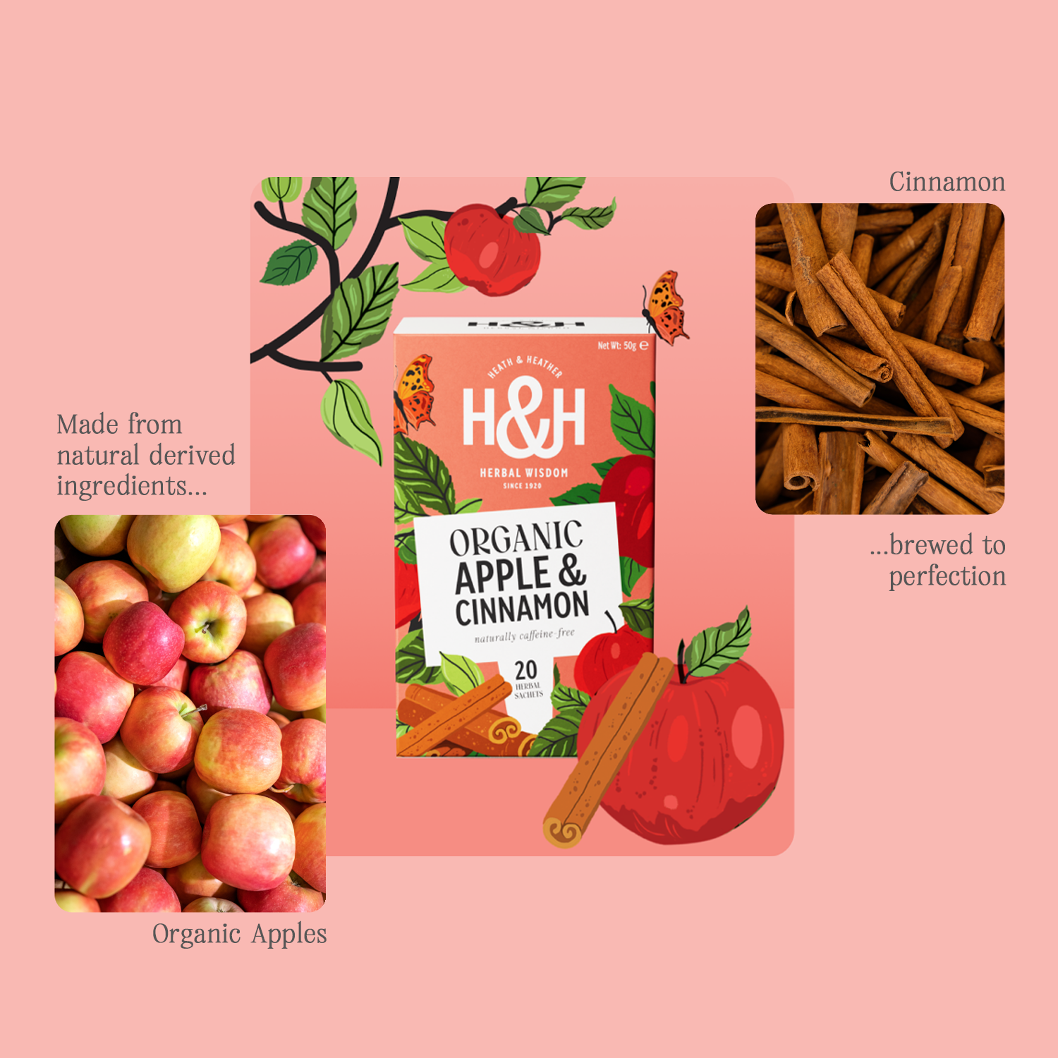 H&H Apple & Cinnamon Herbal Tea