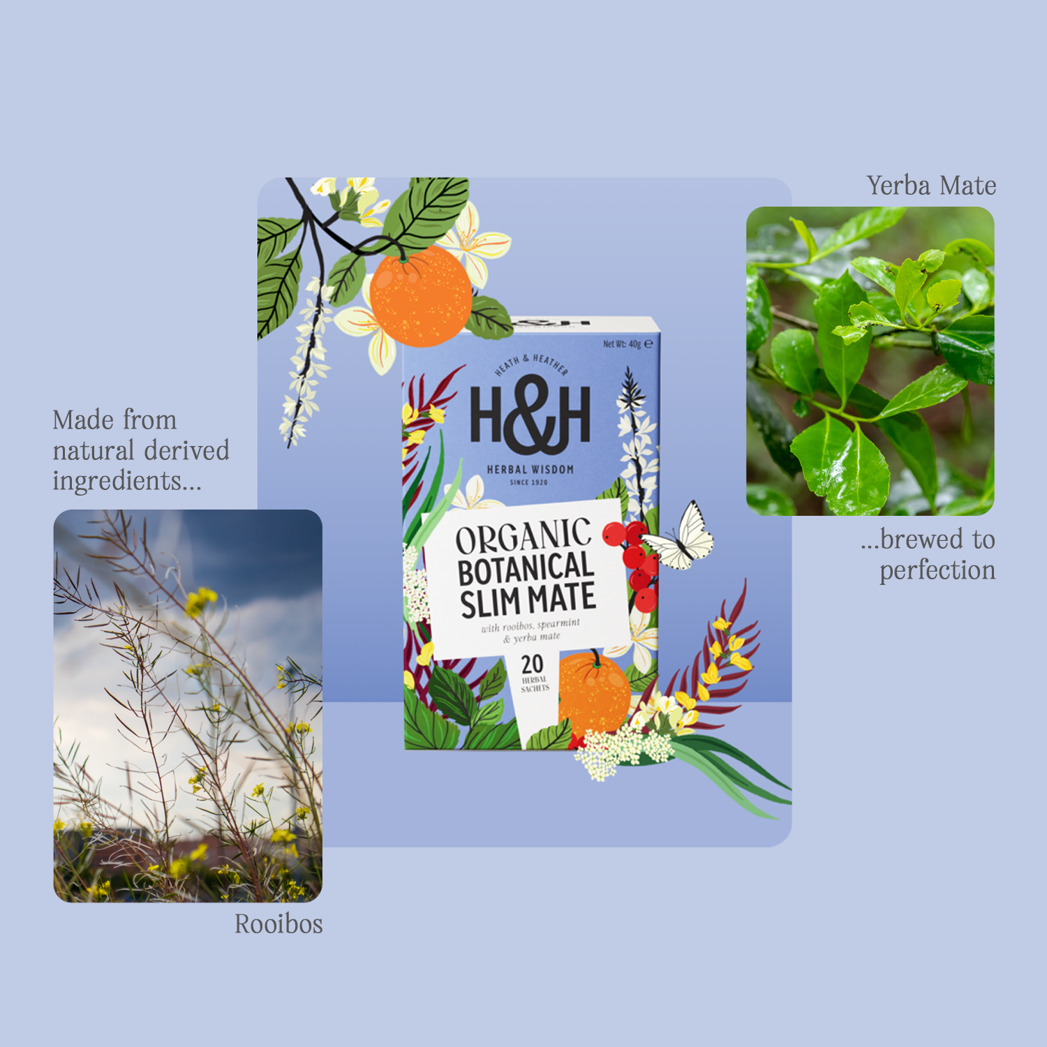 H&H Botanical Slim Mate Herbal Tea