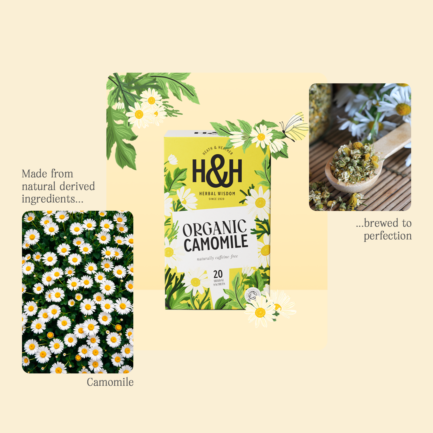 H&H Camomile Herbal Tea