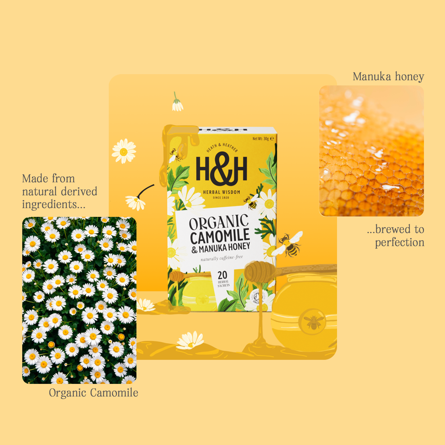 H&H Camomile & Manuka Honey Herbal Tea