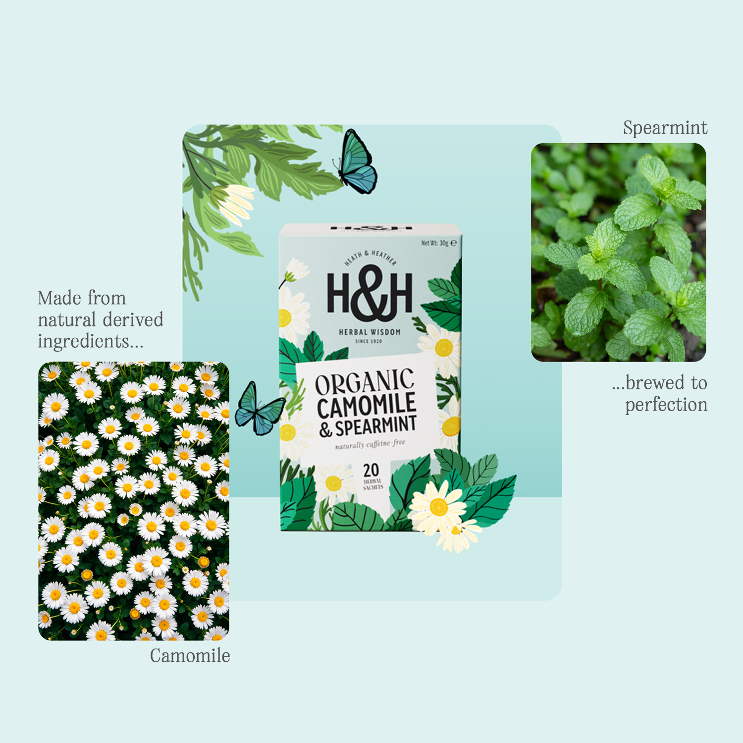 H&H Camomile & Spearmint Herbal Tea
