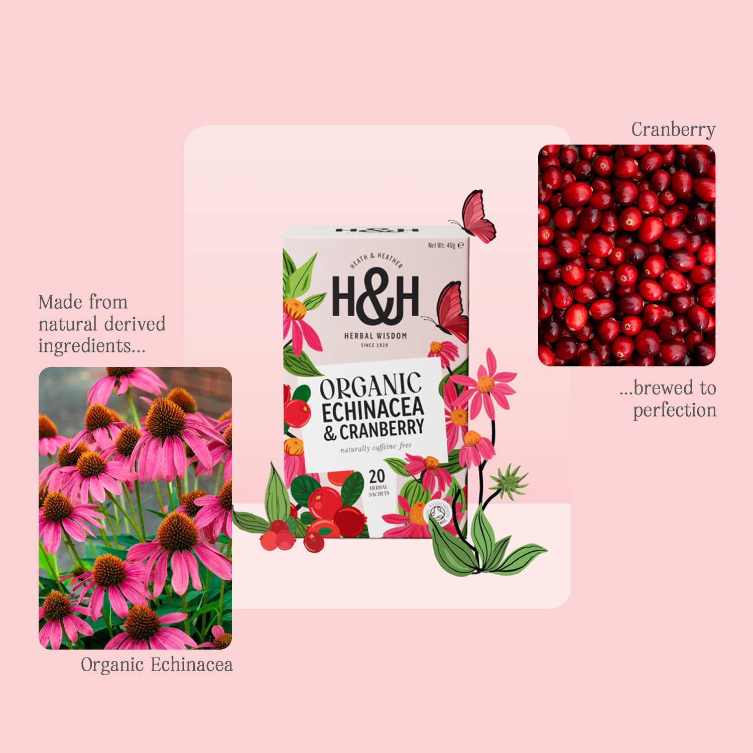 H&H Echinacea & Cranberry Herbal Tea