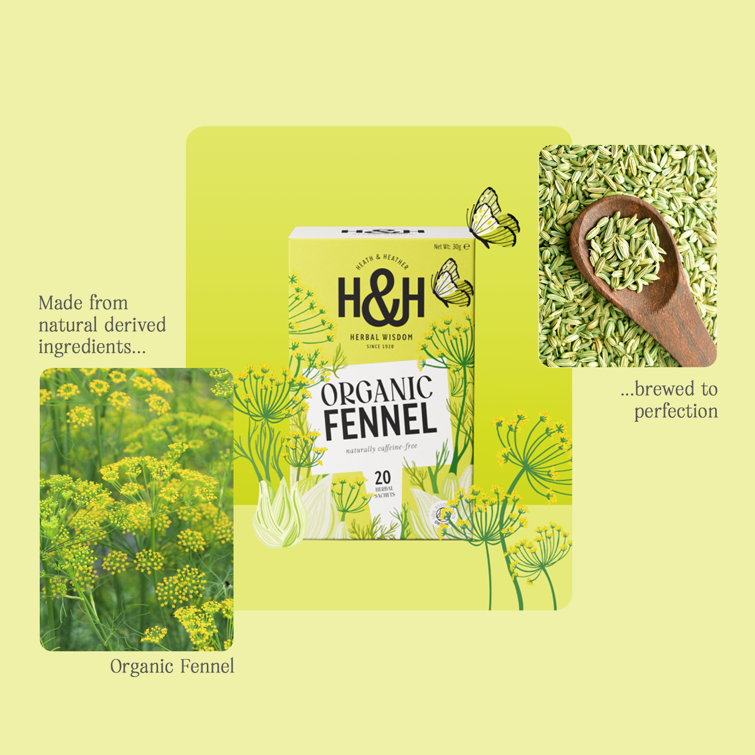 H&H Fennel Herbal Tea
