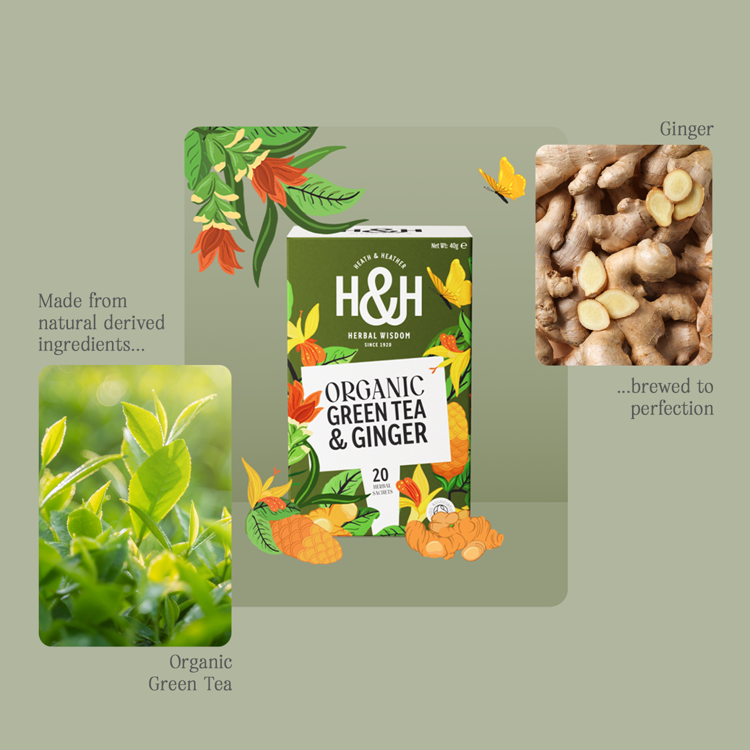 H&H Green Tea & Ginger Herbal Tea