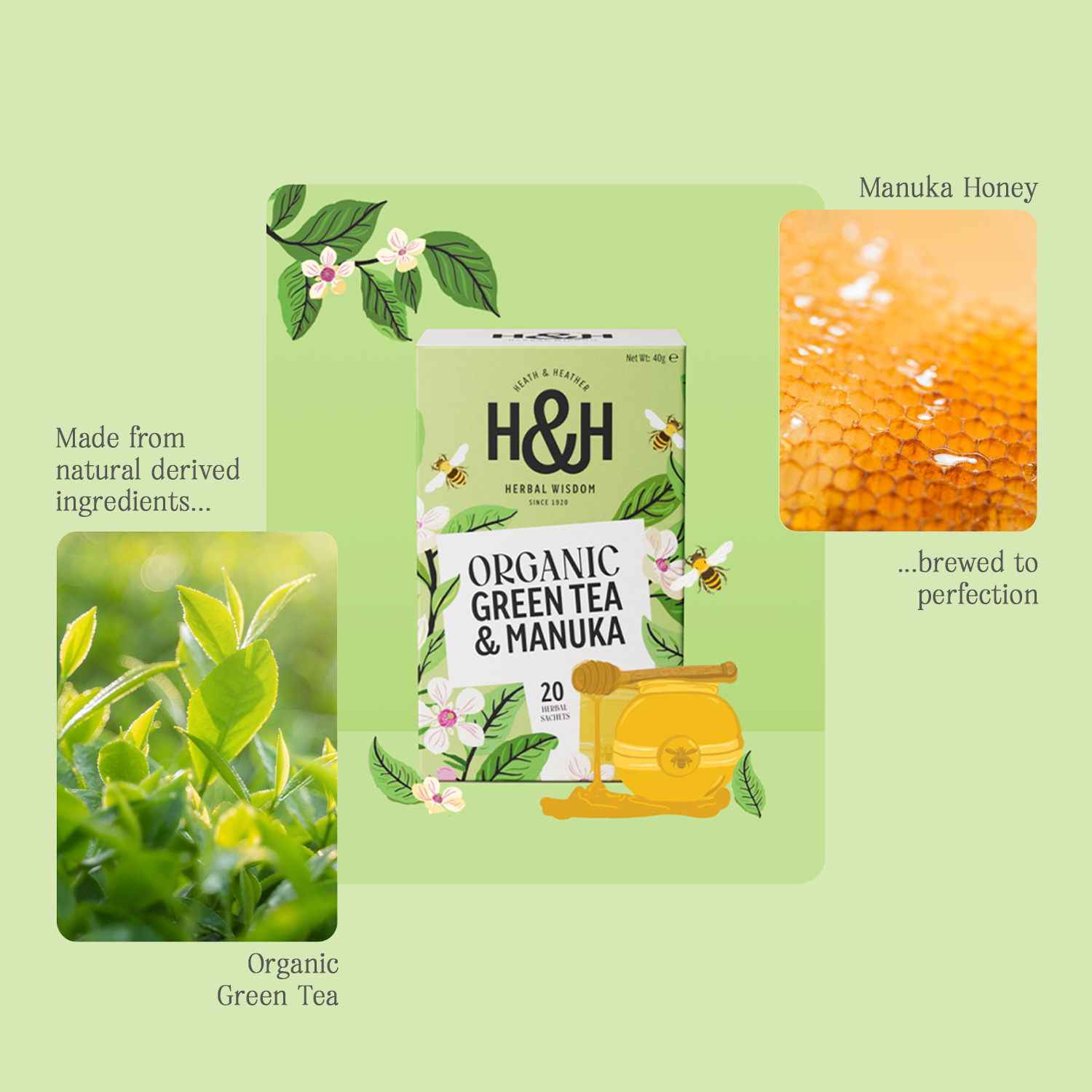 H&H Green Tea & Manuka Herbal Tea