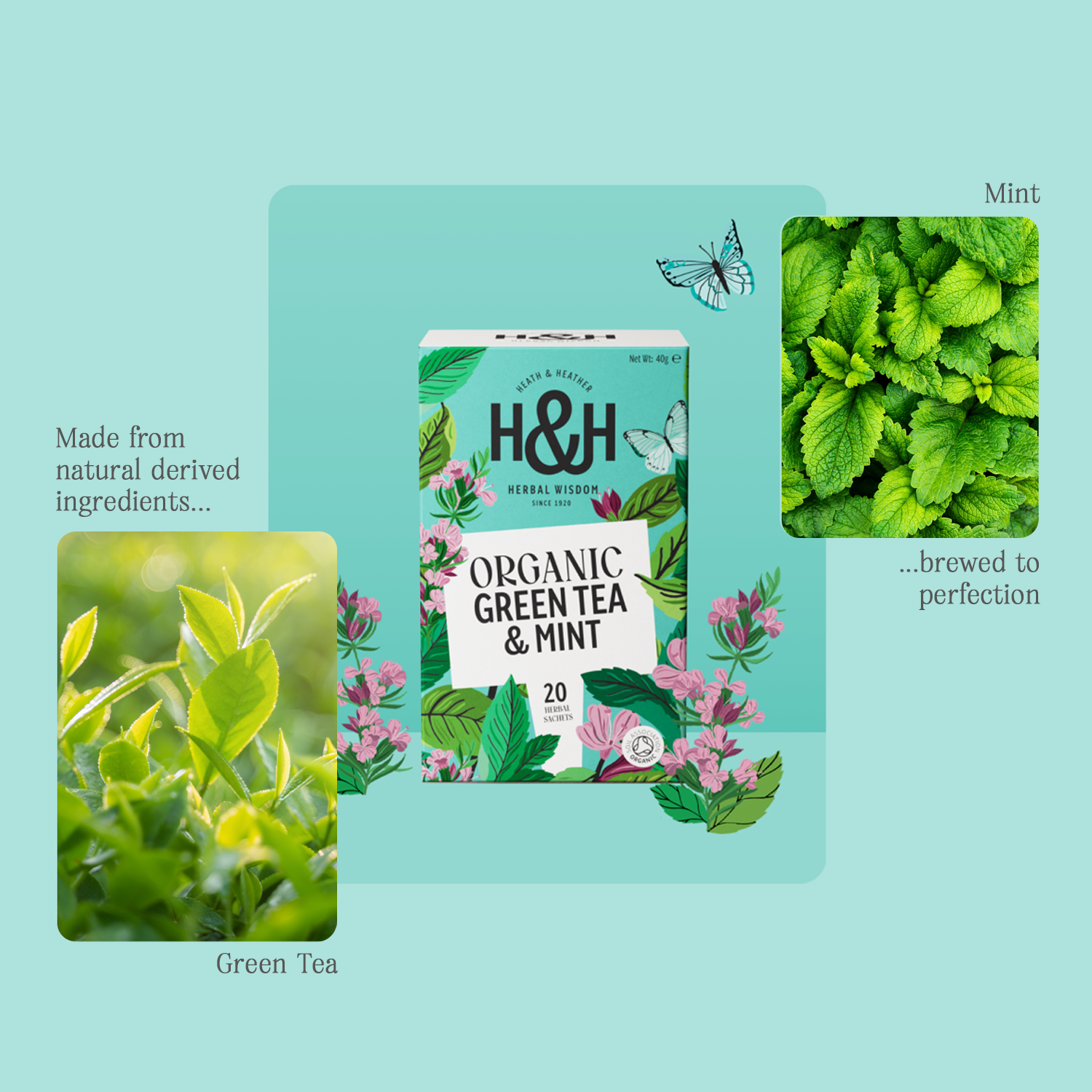 H&H Green Tea & Mint Herbal Tea
