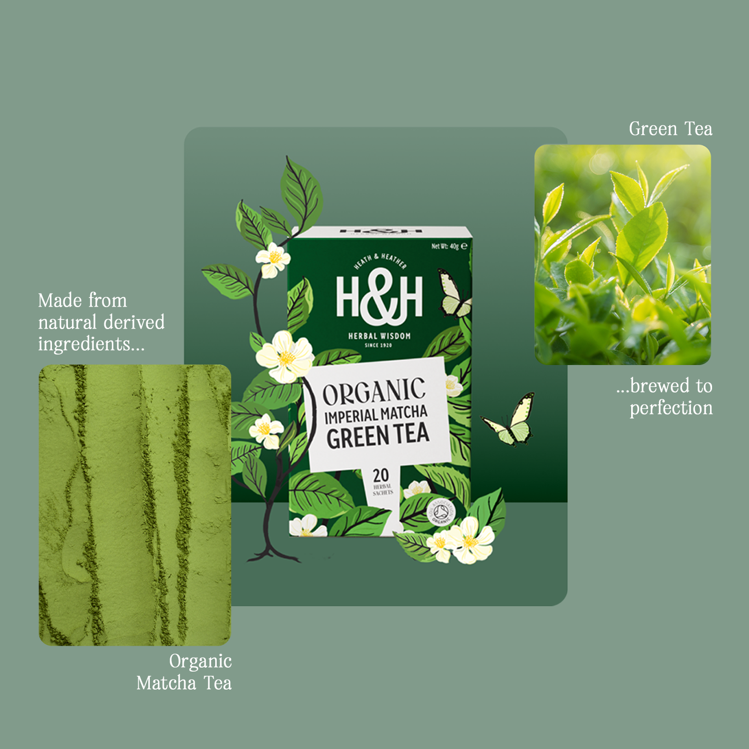 Matcha Tea Bundle