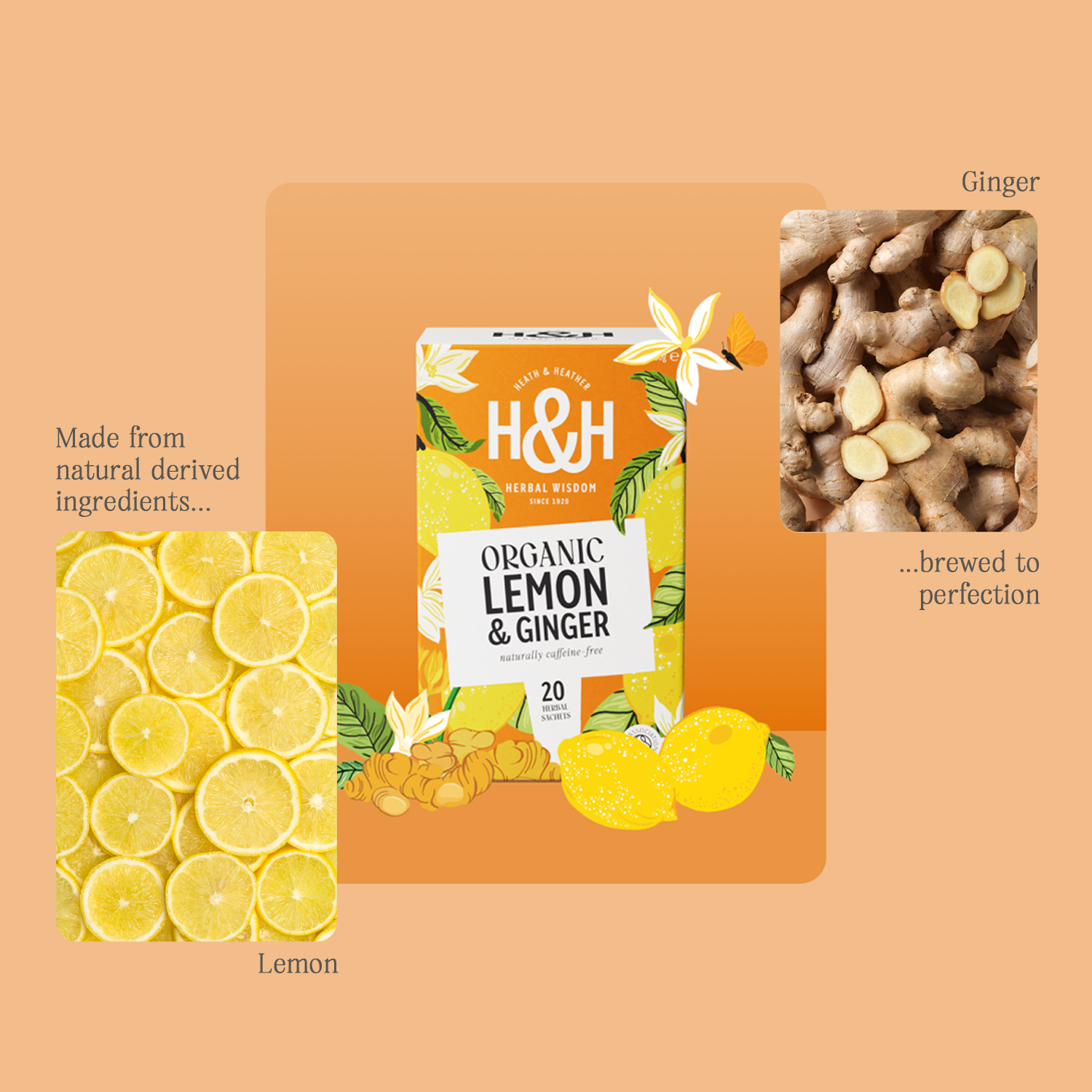 H&H Lemon & Ginger Herbal Tea