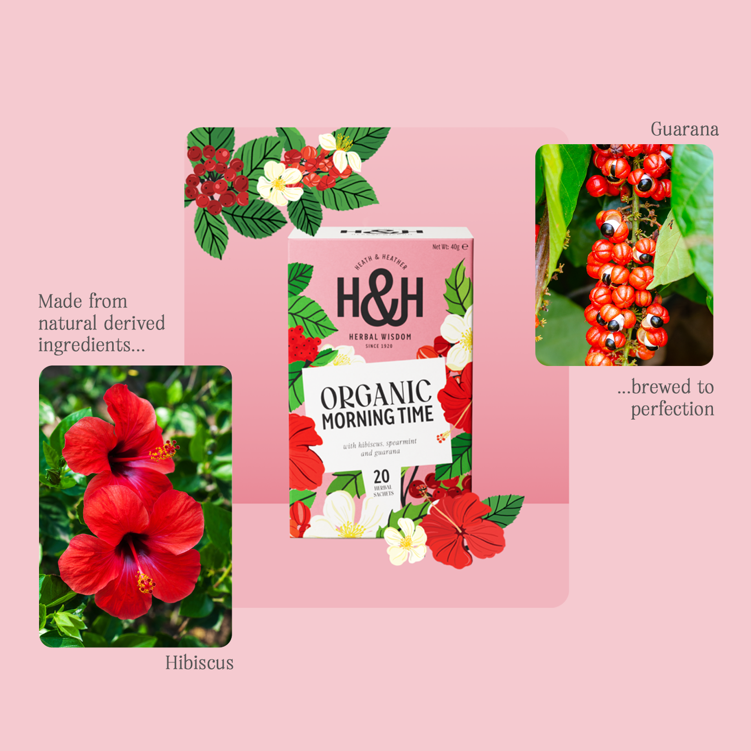 H&H Morning Time Herbal Tea