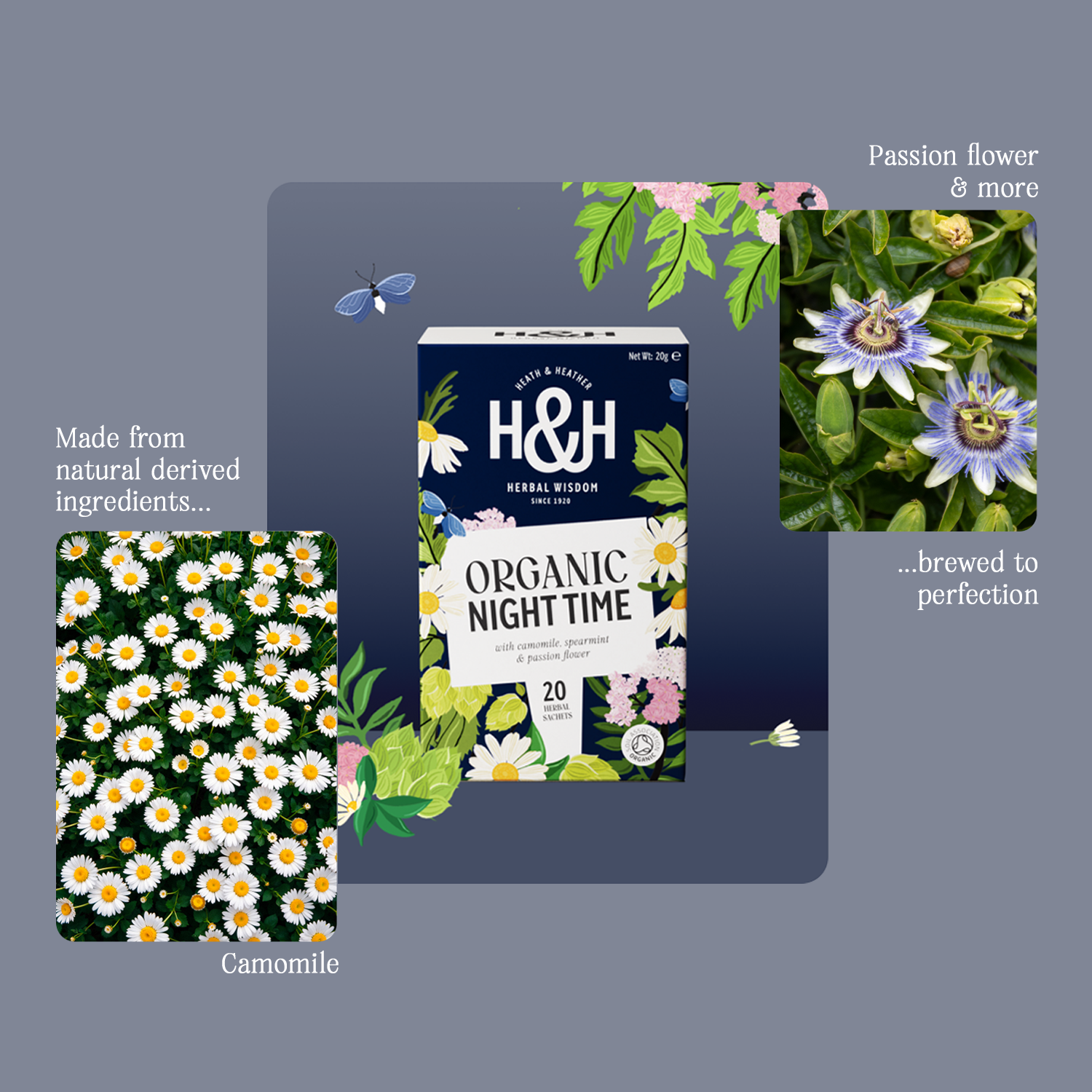 H&H Night Time Herbal Tea