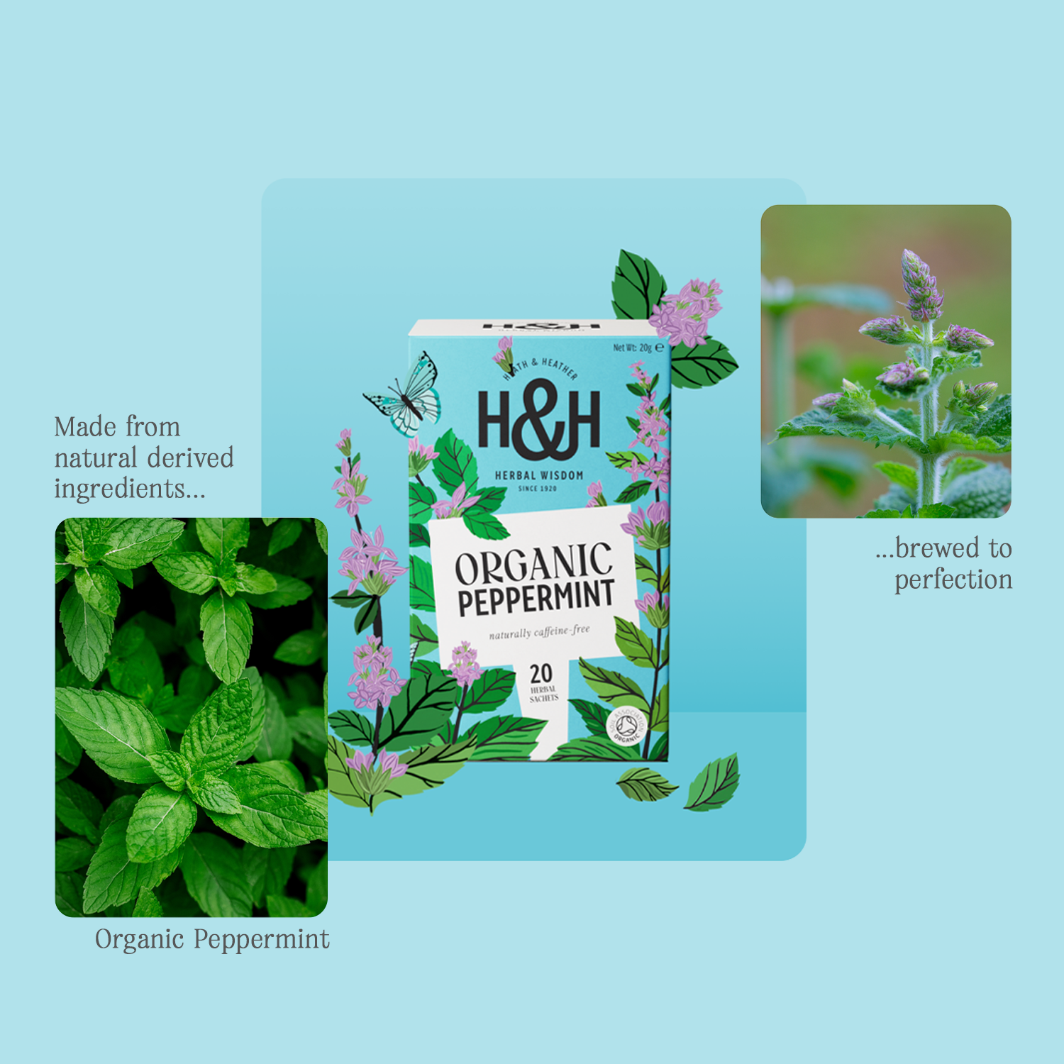H&H Peppermint Herbal Tea