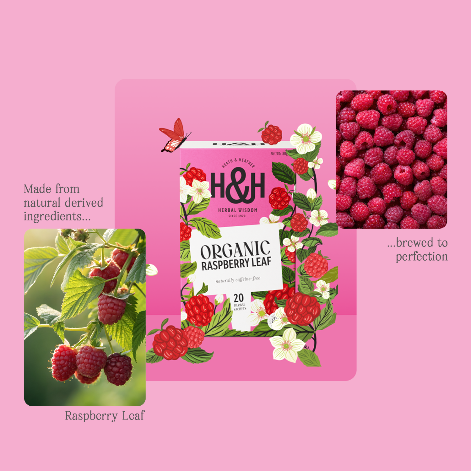H&H Raspberry Leaf Herbal Tea