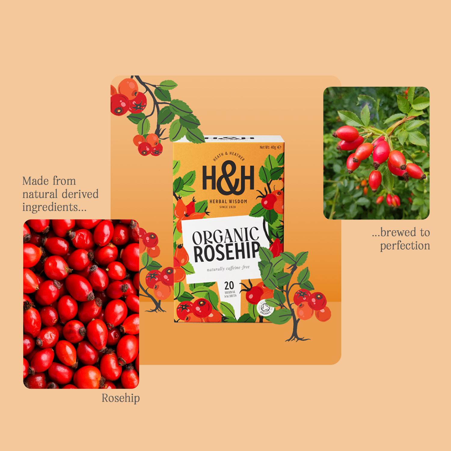 H&H Rosehip Herbal Tea