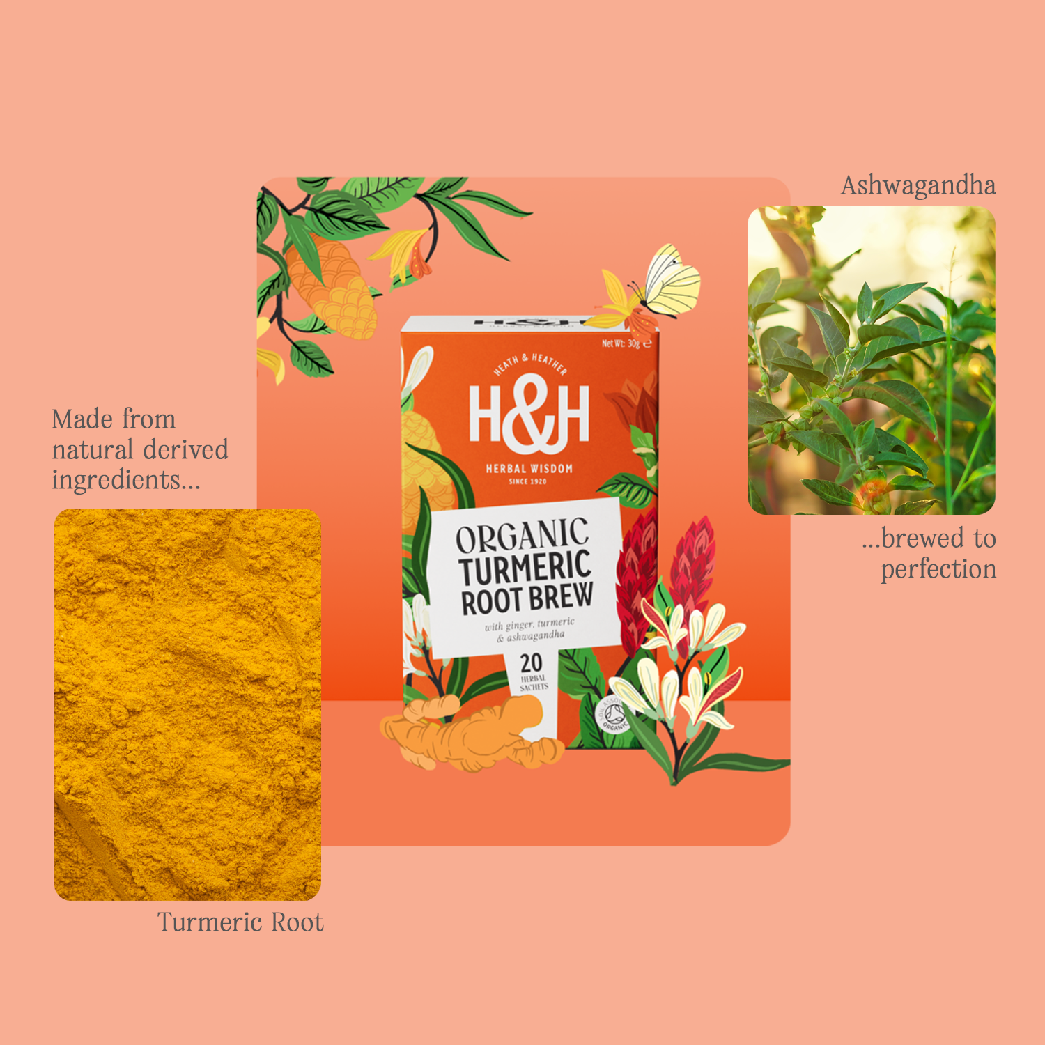 H&H Turmeric Root Brew Herbal Tea