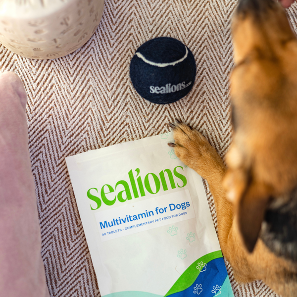 Riboflavin for deals dogs